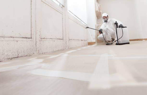 24/7 Emergency Mold Remediation experts in Wake, VA