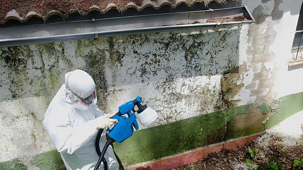 Top rated local Mold Remediation specialists in Wake, VA